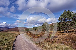 Cairngorms National ParkÂ , Scotland, UK